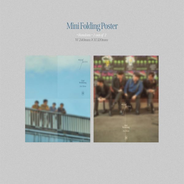 Edel Reinklang - Turning the Bookshelf : 2nd Album For Cheap - Image 5